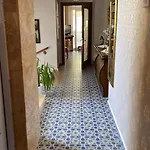 Szálloda Niluefer Butik (adults Only) Ayvalı