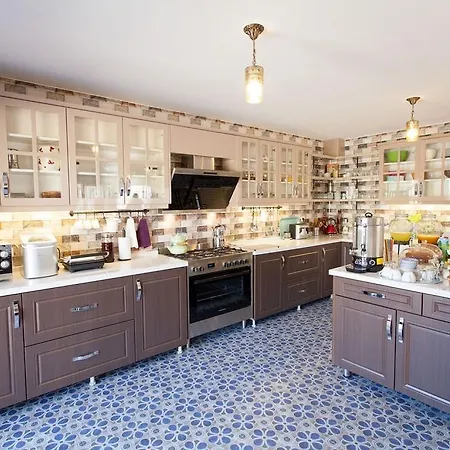 酒店 Niluefer Butik (adults Only)