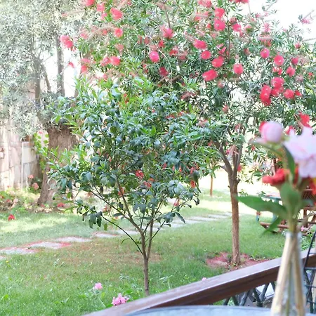 Niluefer Butik (adults Only) Hotel Ayvalik