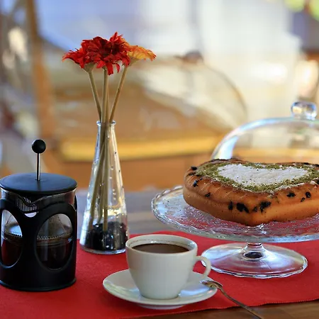 Niluefer Butik (adults Only) 酒店 Ayvalı