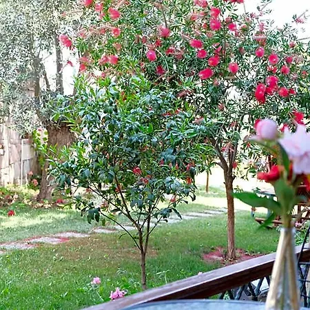 Niluefer Butik (adults Only) Ξενοδοχείο Ayvalı