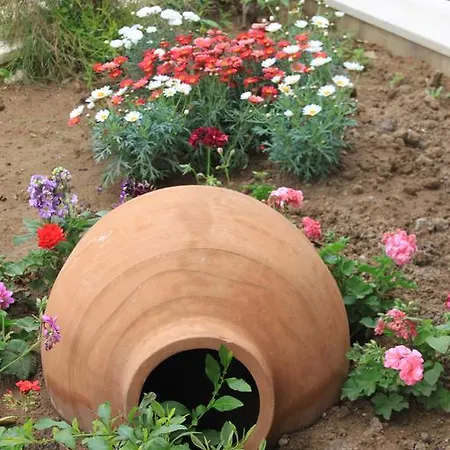 Niluefer Butik (adults Only) Ξενοδοχείο Ayvalı