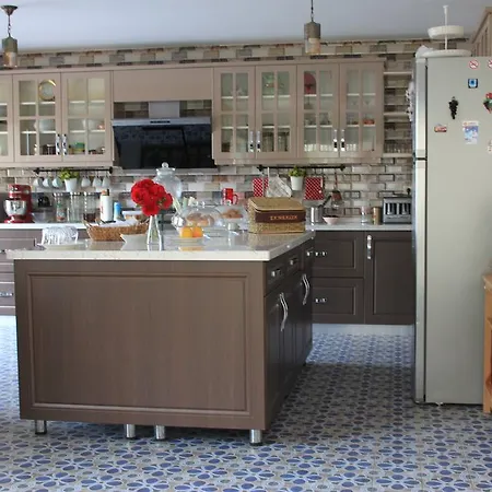 Niluefer Butik (adults Only) Ayvalı