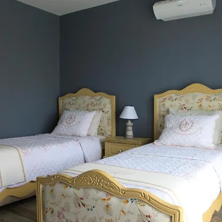 Ξενοδοχείο Niluefer Butik (adults Only)